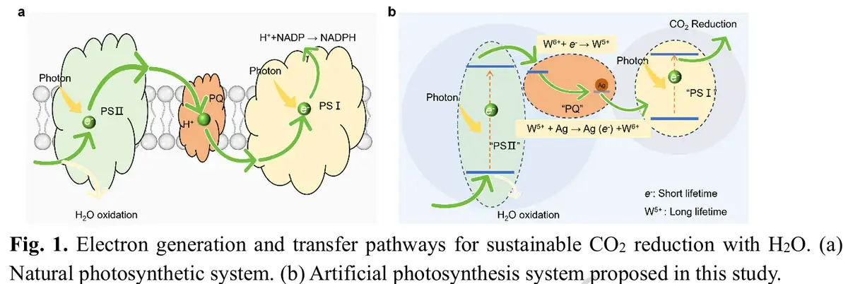 Künstliche Photosynthese: Benzin aus Kohlendioxid erzeugt