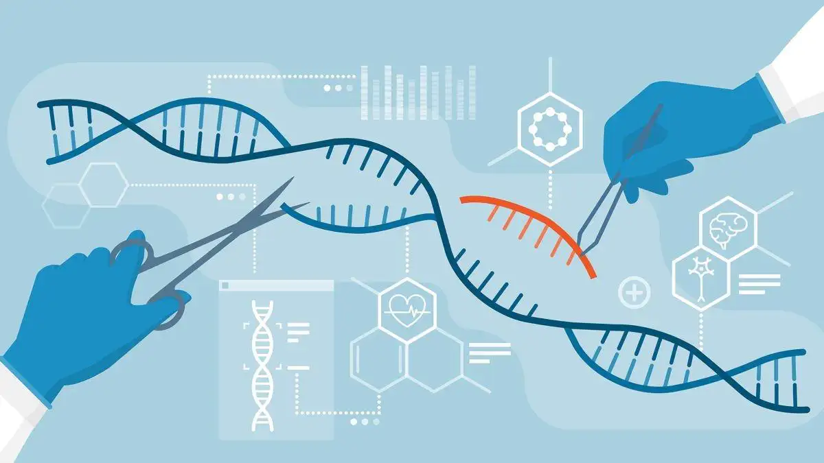 Neues CRISPR-System zur Bakterienkontrolle ohne DNA-Schnitt