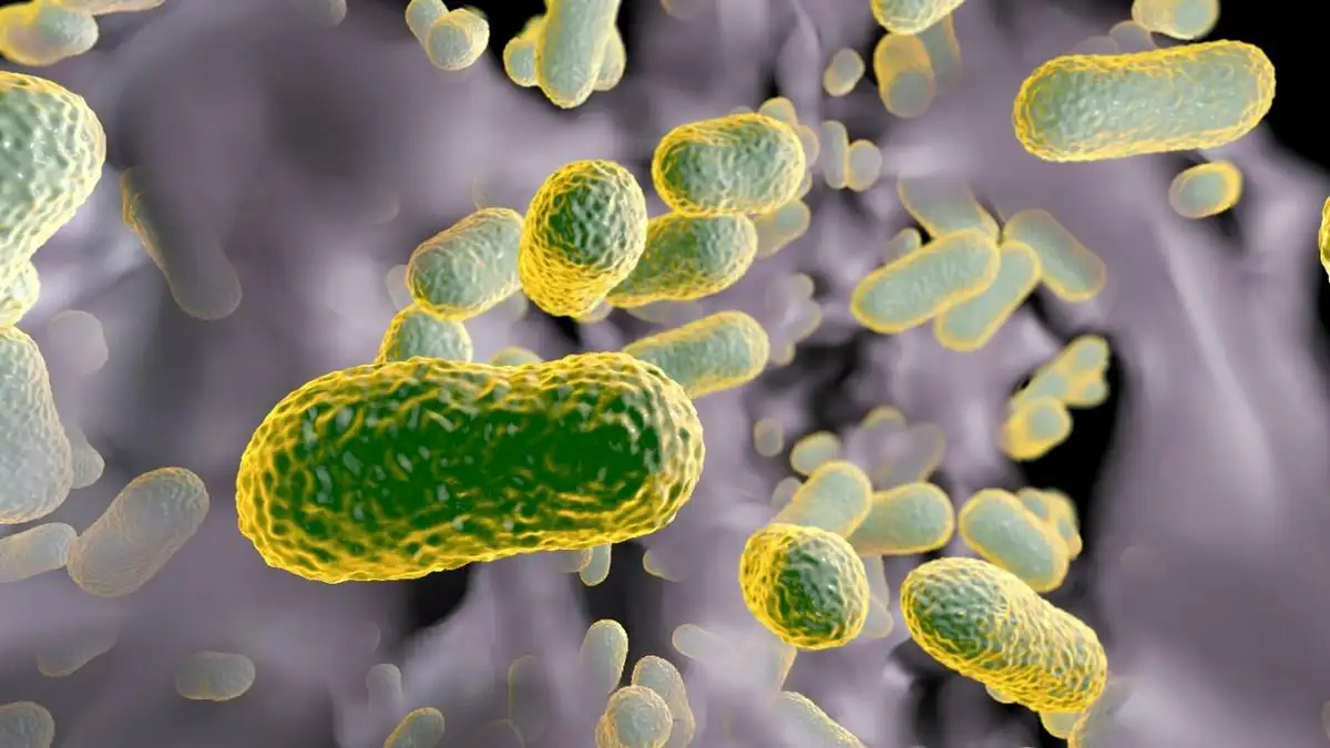 Künstliche Intelligenz entwirft neue Antibiotika